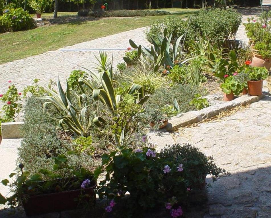 Casa Boavista Villa Paredes de Coura Exterior photo